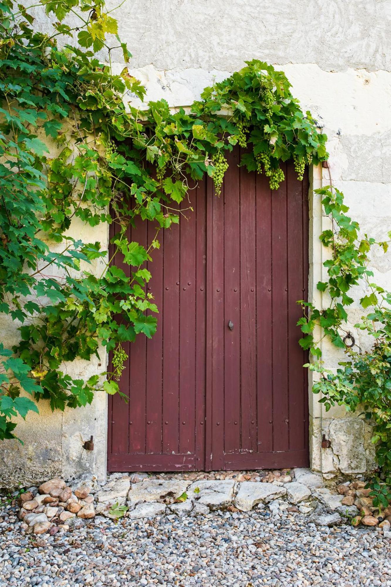 Chateau De Gouyas Montagrier 外观 照片