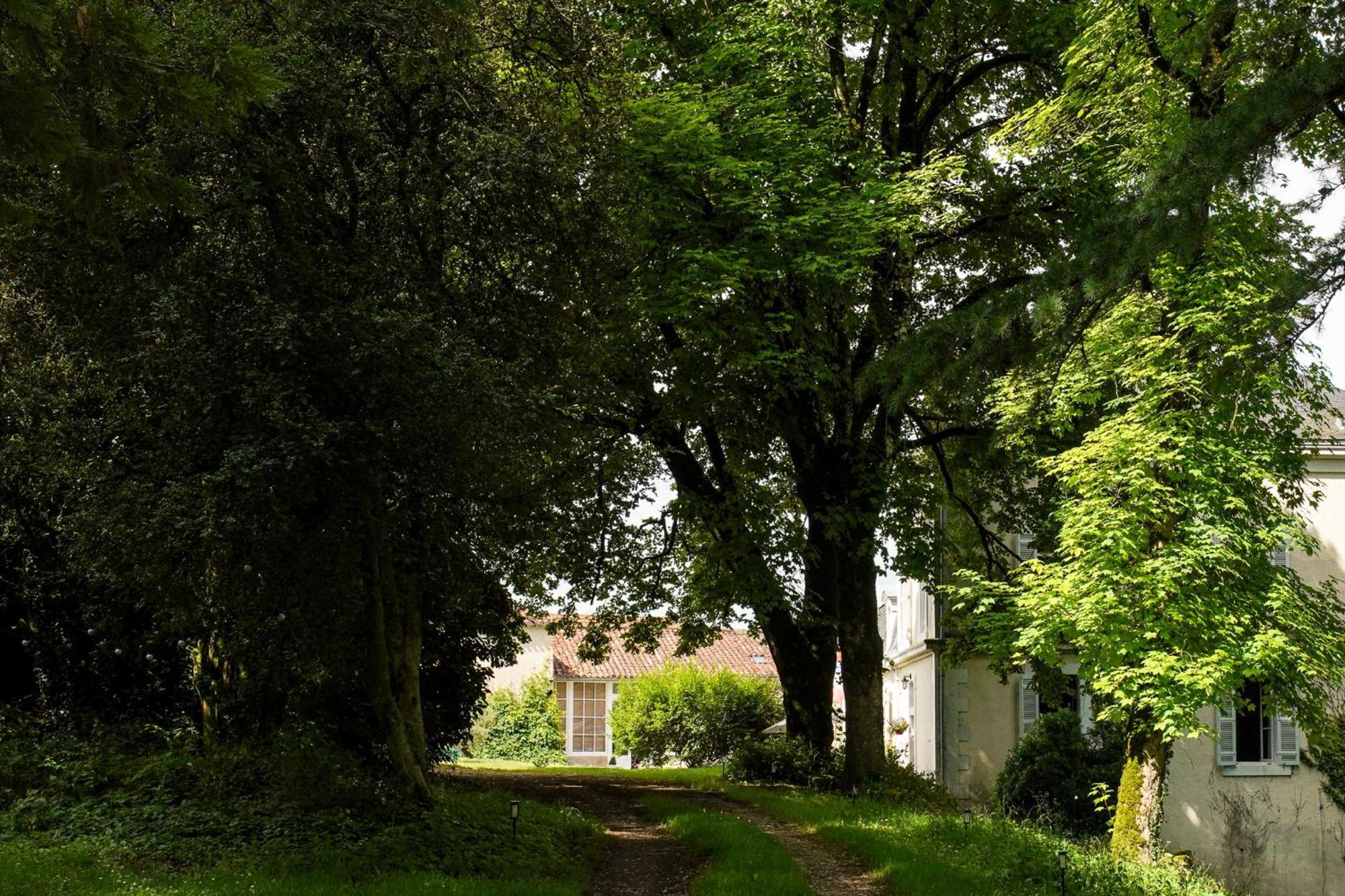 Chateau De Gouyas Montagrier 外观 照片